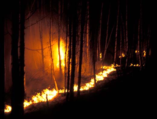 Waldbrand